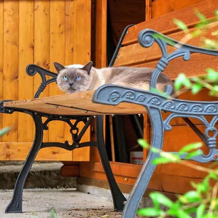 Apartamento 19 Crikvenica