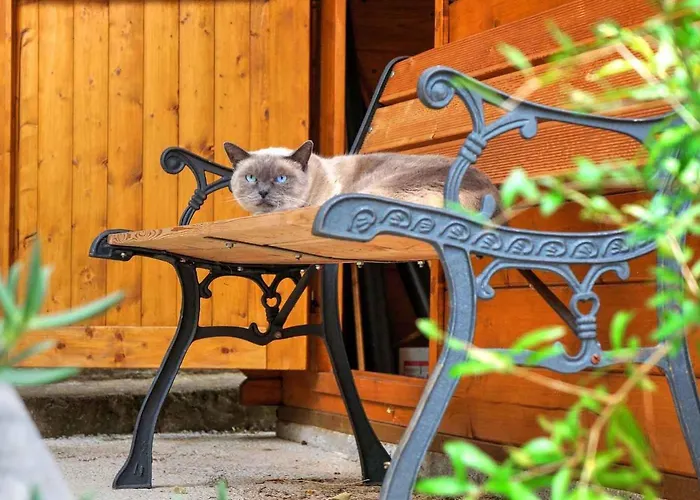 Apartman 19 Crikvenica